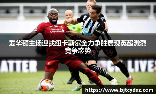 333体育爱华顿主场迎战纽卡斯尔全力争胜展现英超激烈竞争态势